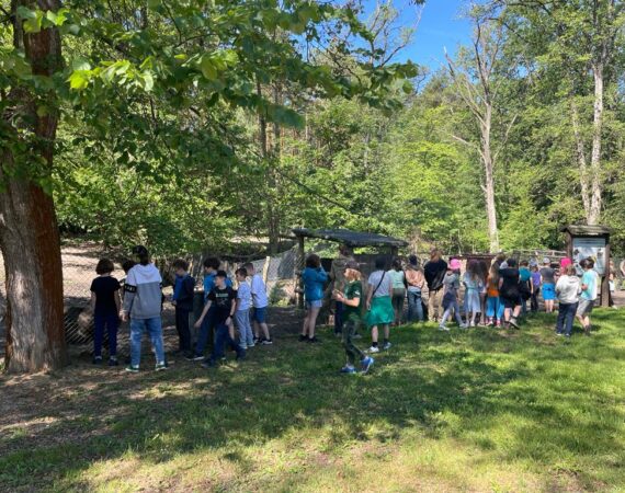 b4464127-9eb6-48ec-bf10-d92aa393033a