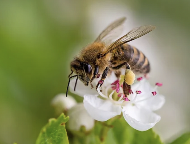 Zrzut ekranu 2022-12-13 o 10.10.21