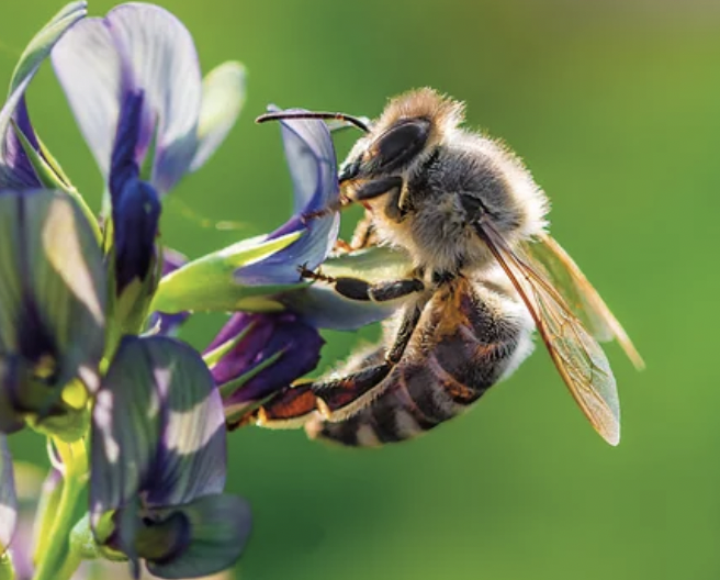 Zrzut ekranu 2022-12-13 o 10.11.29